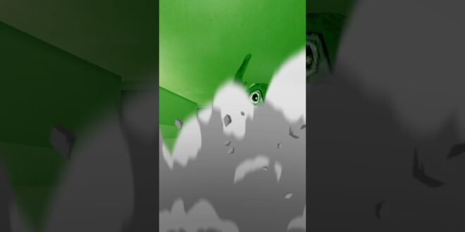 WHERE THERE’S RAIN THERE’S THUNDER #gorillatag #gorillatagquest #chinesenewyear #vr #springfestival