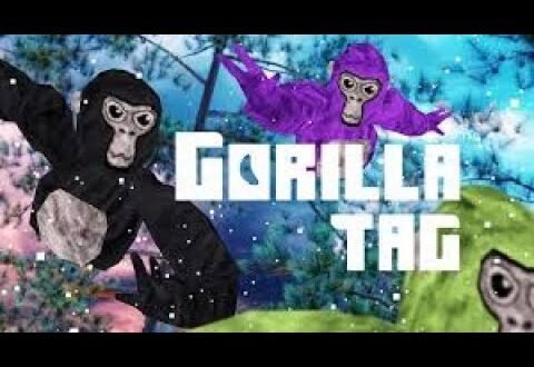 Building in gorilla tag with you guys. road to 1k
