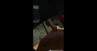 Gorilla Tag Live!
