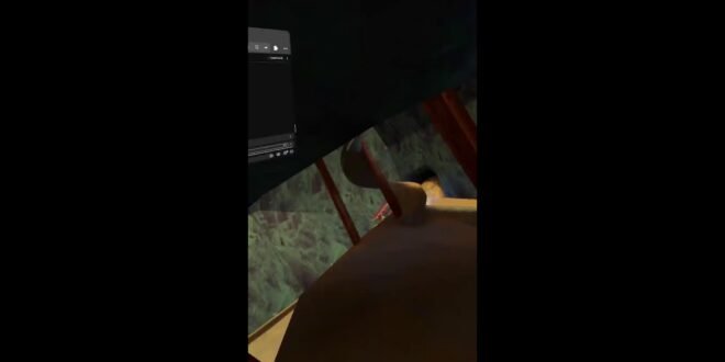 Gorilla Tag Live!